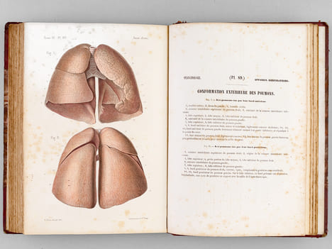 Atlas d'Anatomie descriptive du Corps Humain. Quatrième Partie : Appareil génito-urinaire, organes de la respiration.. BONAMY, C. ; BROCA, Paul ; ...