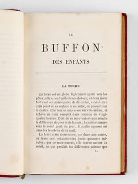 Le Buffon des Enfants ou Petite Histoire Naturelle des Quadrupèdes, des Oiseaux, des Amphibies, des Insectes, etc.. Collectif