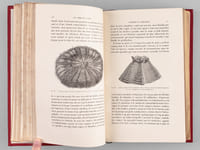 Les Abîmes de la Mer. Récits des Expéditions de draguage des vaisseaux de S. M. Le Porcupine & le Lightning pendant les étés de 1868, 1869 & 1870