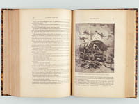La Grande Flibuste [ 5 Tomes en 1 volume ] La Grande Flibuste - La Fièvre d'Or - Curumilla - Valentin Guillois - Les Bois-Brûlés (Le Voladero - Le Capitaine Kild - Le Saut de l'Elan)