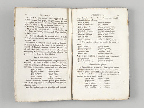 Les Principes de la Langue Belgique, mis à la portée de ceux qui savent le français [ Edition originale - Livre paraphé par l'auteur ] . MOKE, J. J.