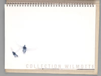 Hess. Collection Wilmotte