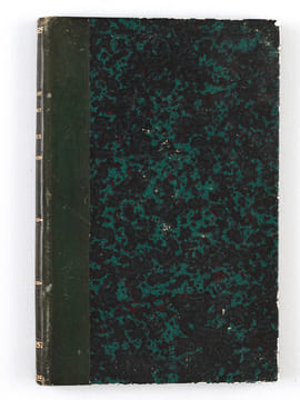 La Révolution Plébéienne. Lettres à Junius.. ANONYME ; [ MICHON, Abbé Jean-Hippolyte ; DUMAS FILS, Alexandre ]