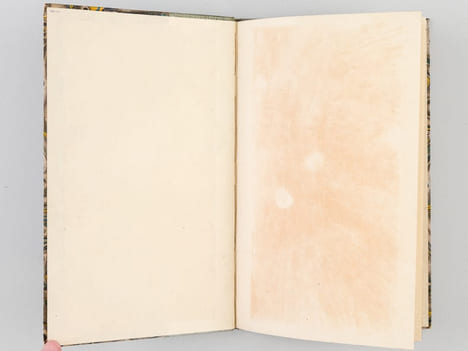 Esquisse d'une Histoire de la Renaissance des Lettres et des Arts en Italie [Edition originale ]  (Discours d'ouverture du Cours de Littérature ...
