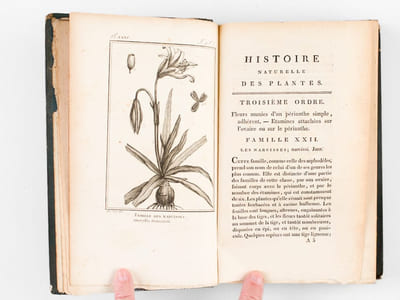 Histoire Naturelle des Plantes, par C.-F. Brisseau-Mirbel et N. Jolyclerc (18 Tomes - Complet)