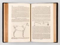 The Horse. A new edition with numerous illustrations. Together with General History of the Horse ; a dissertation on The American Trotting Horse, how trained and jockeyed, an account of his remarkable performances ; and an Essay on the Ass and the Mule, by J. S. Skinner