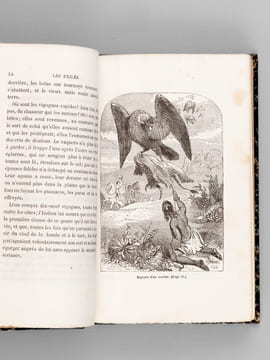 Les exilés dans la forêt [ Edition originale de la traduction ] [Avec : ] L'Habitation du Désert ou Aventures d'une famille perdue dans les solitudes ...