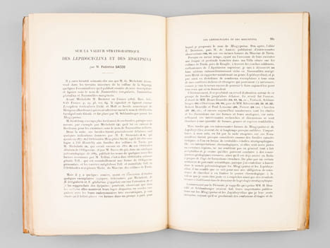 Réunion extraordinaire de la Société Géologique de France en Italie, à Turin & à Gênes en 1905.. Collectif - Société Géologique de France