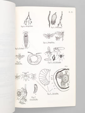Petit Guide pour l'étude des Galles. Eléments de Cécidologie.. DAUPHIN, Patrick