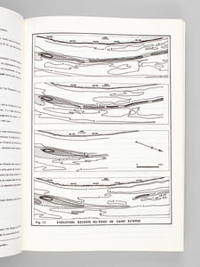 Etude des Processus sédimentaires dans l'Estuaire de la Gironde. Thèse de Doctorat d'Etat ès Sciences naturelles présentée à l'Université de Bordeaux I pour obtenir le grade de Docteur ès Sciences. Soutenue le 12 juillet 1972 [ Ouvrage dédicacé par l'auteur ]