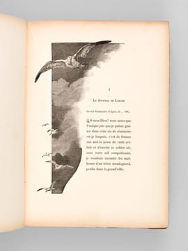 Terre de Lourdes [ Edition originale ]. BOYER D'AGEN