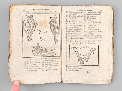 Le Maréchal Expert traitant du naturel, des marques des beaux et bons Chevaux, et de leurs maladies, et remèdes d'icelles, avec un examen et forme de ...