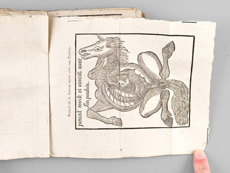 Le Maréchal Expert traitant du naturel, des marques des beaux et bons Chevaux, et de leurs maladies, et remèdes d'icelles, avec un examen et forme de ...
