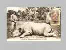 Lot de 9 cartes postales de chasse en Afrique : 6 CPA (Chasse au buffle sur les rives du Salamat, Chasse à la panthère chez les Tambagos, Quadruplé de ...