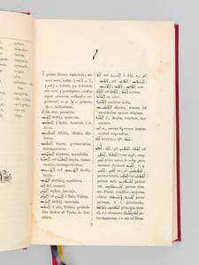 Dictionarium Syriaco-Latinum