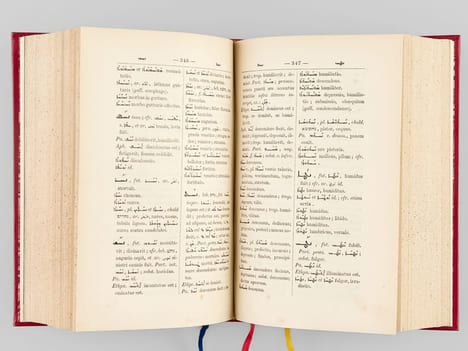 Dictionarium Syriaco-Latinum. BRUN, J.