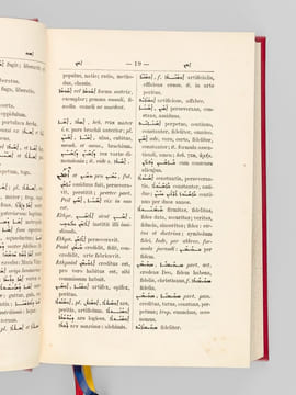 Dictionarium Syriaco-Latinum. BRUN, J.