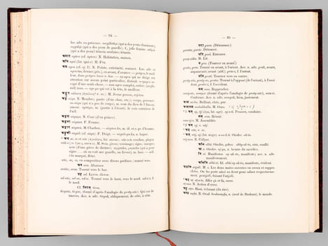 Manuel pour étudier la langue sanscrite. Chrestomathie - Lexique - Principes de Grammaire . BERGAIGNE, Abel 
