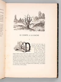 Les Contes flamands, relatant les haults faicts de guerre, d'amour, de beuverie et aultres advenus ès pays de Flandres depuis le Bon Roy Dagobert, par Hippolyte Verly.