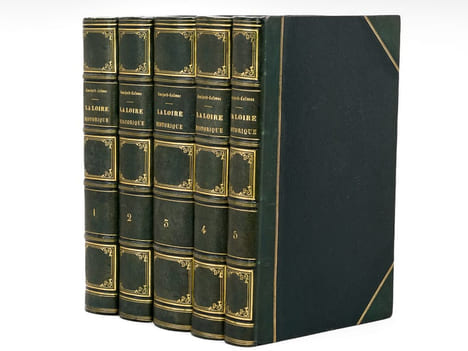 La Loire Historique, Pittoresque et Biographique, de la Source de ce Fleuve à son Embouchure dans l'Océan (5 Tomes - Complet) [ Edition originale ]. ...
