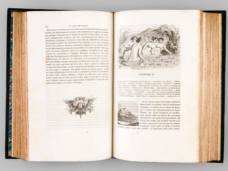 La Loire Historique, Pittoresque et Biographique, de la Source de ce Fleuve à son Embouchure dans l'Océan (5 Tomes - Complet) [ Edition originale ]. ...