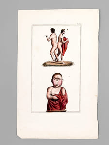 Matières générales - L'Homme - Géographie [ Lot de 8 planches coloriées au pinceau et 4 cartes doubles ] Figures relatives au système de la génération - Malformations humaines - Carte des deux régions polaires - Carte de l'Ancien Continent - Carte du Nouveau Continent - etc... 
