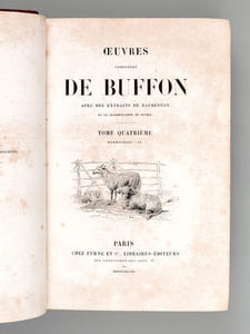Oeuvres complètes de Buffon avec des extraits de Daubenton et la classification de Cuvier. Tome 4 : Mammifères