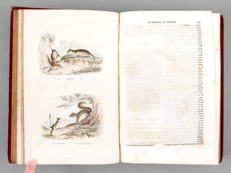 Oeuvres complètes de Buffon avec des extraits de Daubenton et la classification de Cuvier. Tome 4 : Mammifères. BUFFON ; [ TRAVIES ; JANET-LANGE ] 