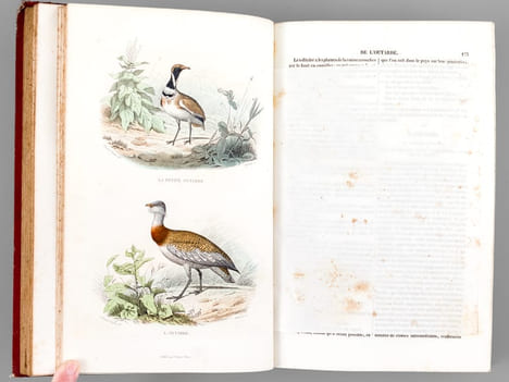 Oeuvres complètes de Buffon avec des extraits de Daubenton et la classification de Cuvier (Tomes 5 et 6 : Les Oiseaux ). BUFFON ; [ TRAVIES ; ...