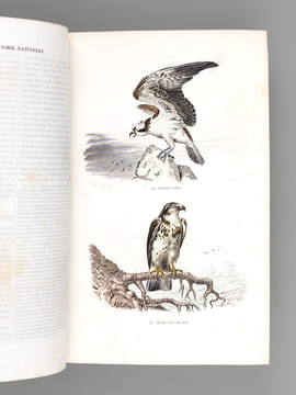 Oeuvres complètes de Buffon avec des extraits de Daubenton et la classification de Cuvier (Tomes 5 et 6 : Les Oiseaux ). BUFFON ; [ TRAVIES ; ...