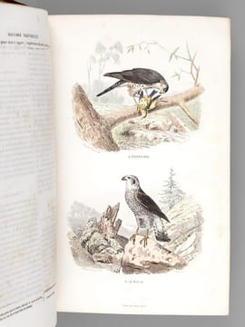 Oeuvres complètes de Buffon avec des extraits de Daubenton et la classification de Cuvier (Tomes 5 et 6 : Les Oiseaux ). BUFFON ; [ TRAVIES ; ...