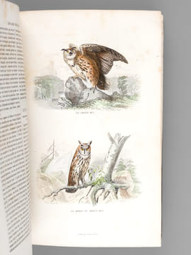 Oeuvres complètes de Buffon avec des extraits de Daubenton et la classification de Cuvier (Tomes 5 et 6 : Les Oiseaux ). BUFFON ; [ TRAVIES ; ...