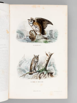 Oeuvres complètes de Buffon avec des extraits de Daubenton et la classification de Cuvier (6 Tomes - Complet) Tome I : Matières générales. Théorie de ...