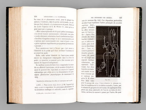 Physiologie médicale de la Circulation du Sang basée sur l'Etude graphique des mouvements du Coeur et du Pouls artériel avec application aux maladies ...