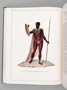 François Le Vaillant Voyageur en Afrique Australe et sa collection de 165 aquarelles. 1781-1784