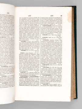 Dictionnaire Universel d'Histoire Naturelle (13 Tomes et 3 Volumes d'Atlas : 16 Tomes - Complet) . D'ORBIGNY, Charles ; (ARAGO ; BECQUEREL ; ...