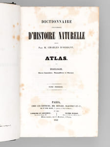 Dictionnaire Universel d'Histoire Naturelle (13 Tomes et 3 Volumes d'Atlas : 16 Tomes - Complet)