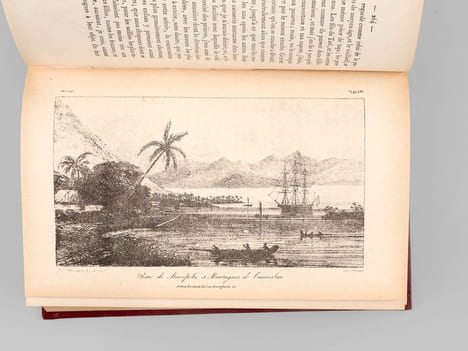 Voyages aux Iles du Grand Océan (2 Tomes - Complet) Contenant des documens nouveaux sur la géographie physique et politique, la langue, la ...