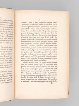 Voyages aux Iles du Grand Océan (2 Tomes - Complet) Contenant des documens nouveaux sur la géographie physique et politique, la langue, la ...