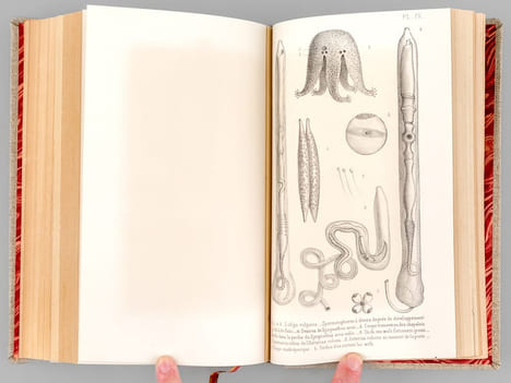 Actes de l'Académie Impériale des Sciences, Belles-Lettres et Arts de Bordeaux. 3e Série - 30e Année - 1868 [ Contient notamment : ] Kosciuszko ou la ...