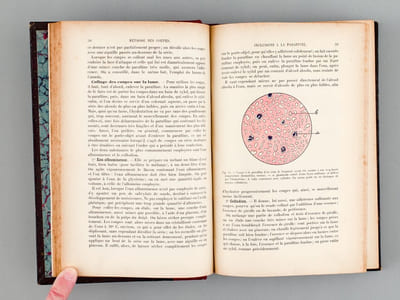 Guide pratique d'histologie normale et pathologique. Technique et diagnostic