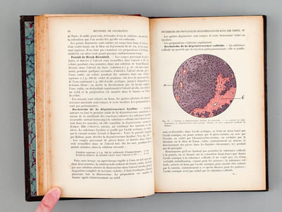Guide pratique d'histologie normale et pathologique. Technique et diagnostic