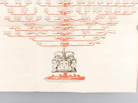 Extrait de la Généalogie de la Maison de Mailly Suivi de l'Histoire de la Branche des Comtes de Mailly Marquis d'Haucourt et de celle des Marquis de ...