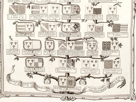 Extrait de la Généalogie de la Maison de Mailly Suivi de l'Histoire de la Branche des Comtes de Mailly Marquis d'Haucourt et de celle des Marquis de ...