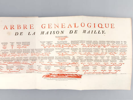 Extrait de la Généalogie de la Maison de Mailly Suivi de l'Histoire de la Branche des Comtes de Mailly Marquis d'Haucourt et de celle des Marquis de ...