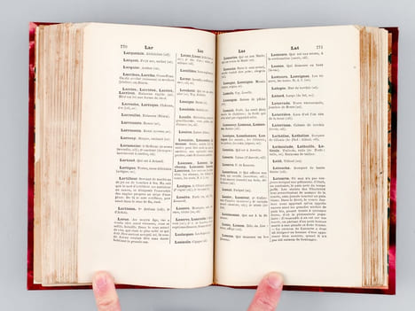 Dictionnaire des Noms contenant la recherche étymologique des formes anciennes de 20,200 noms relevés sur les Annuaires de Paris [ Edition originale ...