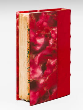 Dictionnaire des Noms contenant la recherche étymologique des formes anciennes de 20,200 noms relevés sur les Annuaires de Paris [ Edition originale ...