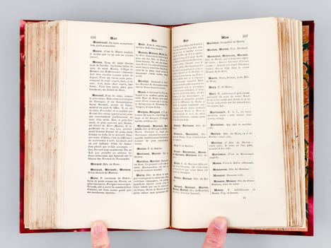 Dictionnaire des Noms contenant la recherche étymologique des formes anciennes de 20,200 noms relevés sur les Annuaires de Paris [ Edition originale ...