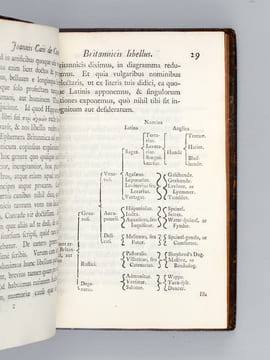 Joannis Caii Britanni De Canibus Britannicis, liber unus ; De Rariorum Animalium & Stirpium historia, liber unus ; De Libris propriis, liber unus ; De ...