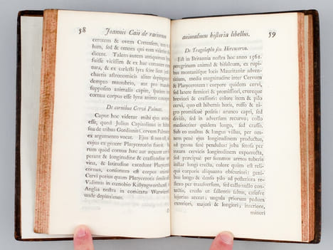 Joannis Caii Britanni De Canibus Britannicis, liber unus ; De Rariorum Animalium & Stirpium historia, liber unus ; De Libris propriis, liber unus ; De ...